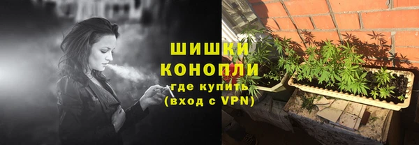 крисы Магадан