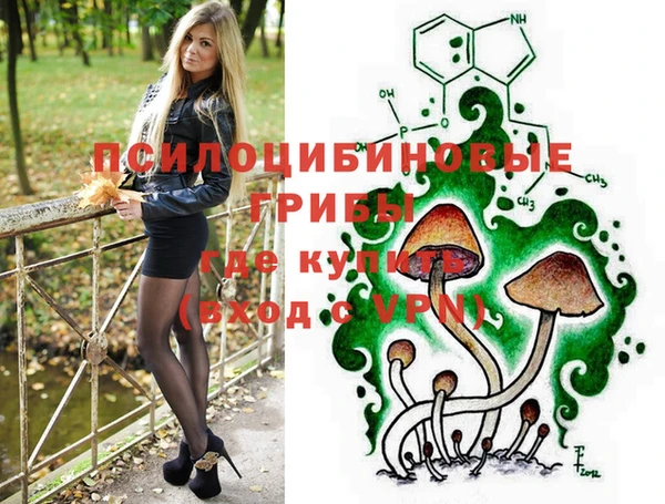 стафф Майский