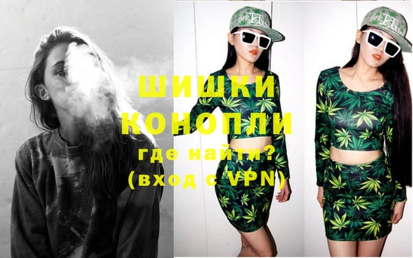 крисы Магадан