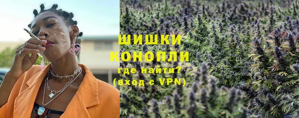 крисы Магадан