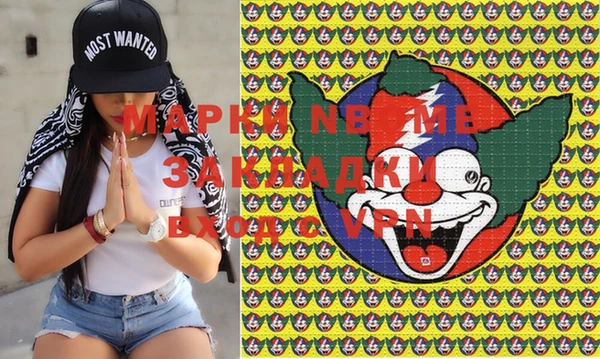 стафф Майский