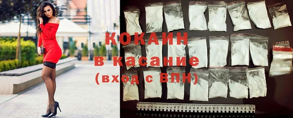 крисы Магадан