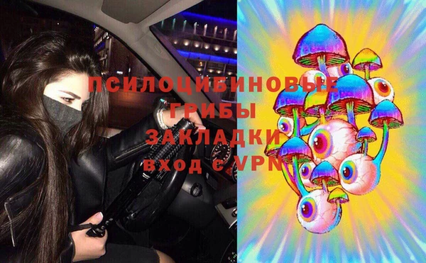 стафф Майский