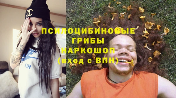 крисы Магадан
